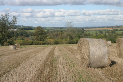 Straw bales in the Autumn sun
